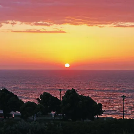 Blue Buddha Ericeira